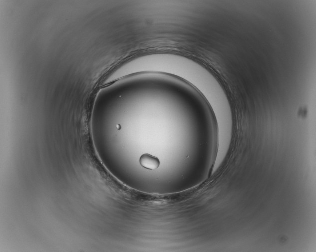 X0000113610411200910021808