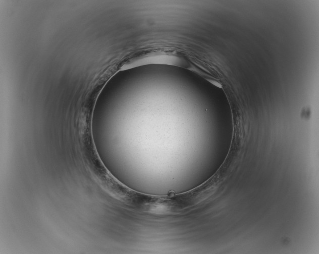 X0000113610412200910021808