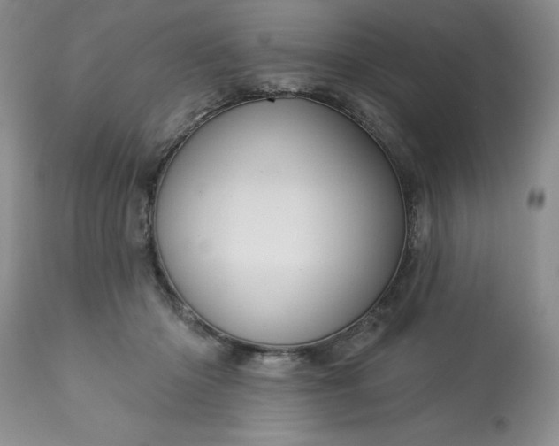 X0000113610414200910021808