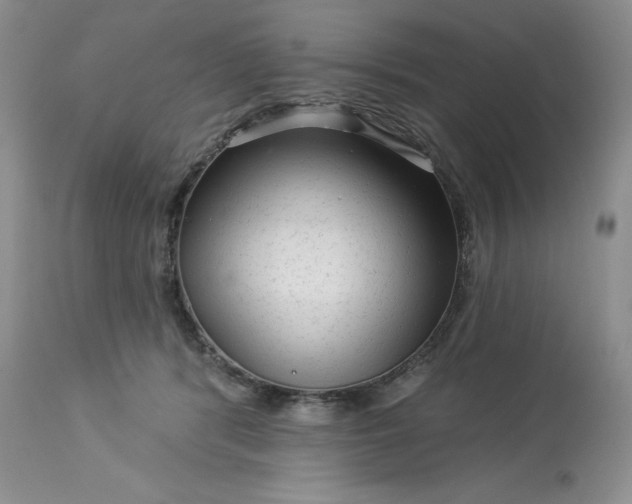 X0000113610416200910021808