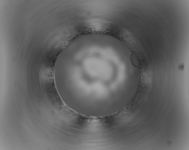 X0000113610419200910021808