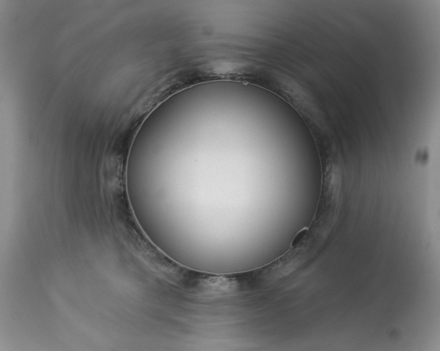 X0000113610421200910021808