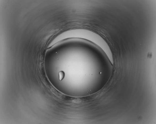 X0000113610423200910021808