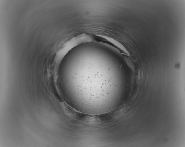 X0000113610424200910021808