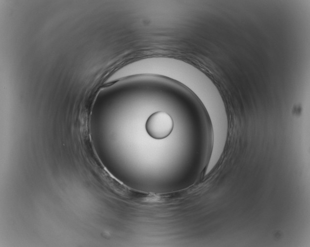 X0000113610425200910021808