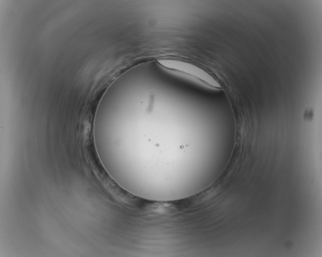 X0000113610427200910021808