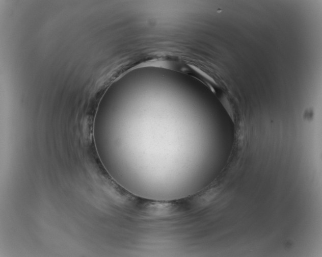 X0000113610428200910021808