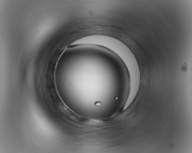 X0000113610429200910021808