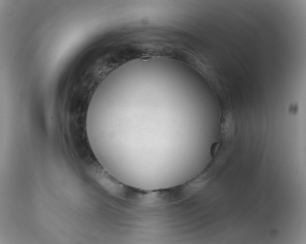 X0000113610430200910021808