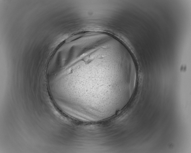 X0000113610433200910021807