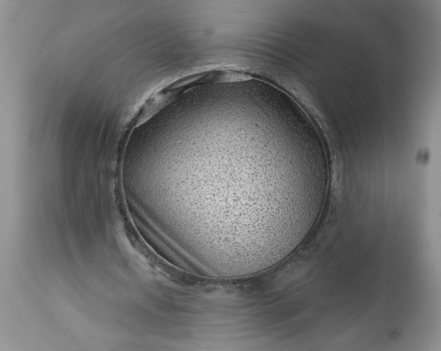 X0000113610434200910021807