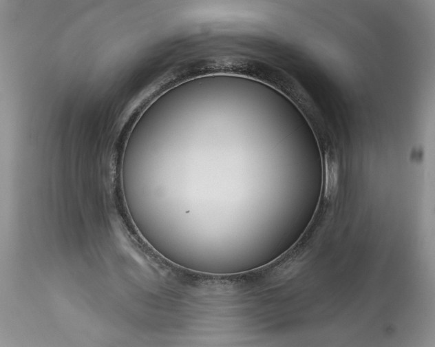 X0000113610435200910021807