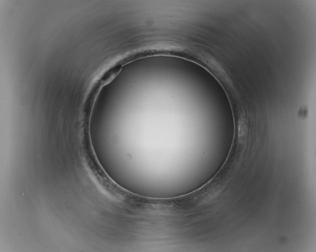 X0000113610436200910021807