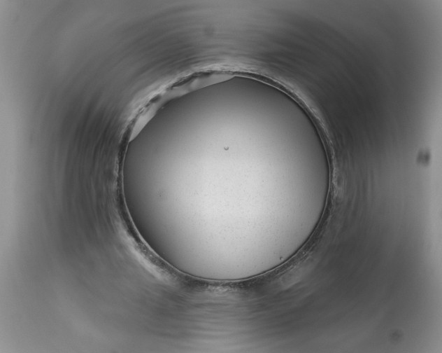 X0000113610437200910021807