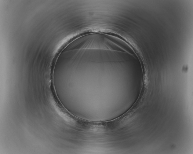 X0000113610438200910021808