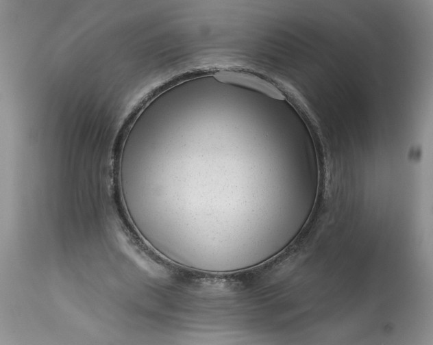 X0000113610439200910021808