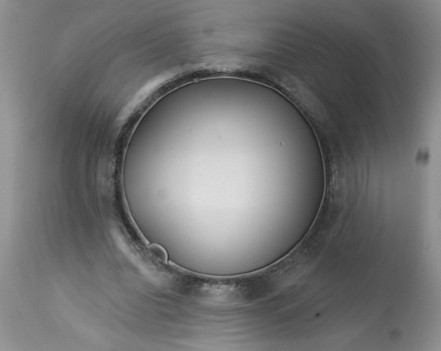 X0000113610440200910021808