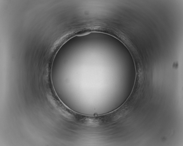 X0000113610442200910021808