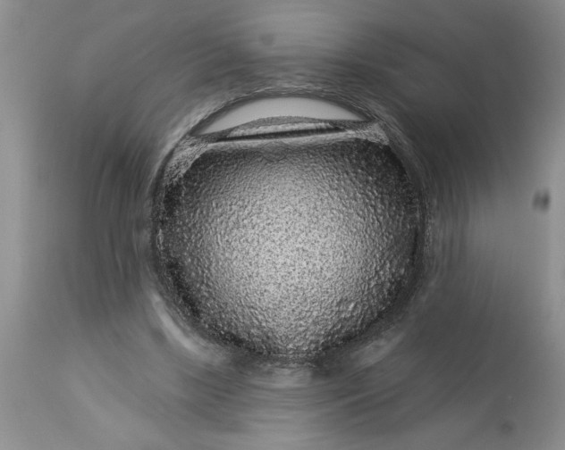 X0000113610443200910021808