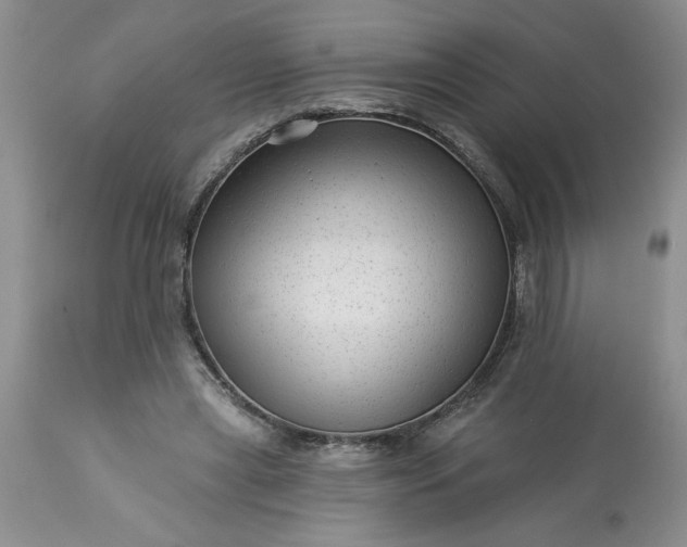 X0000113610445200910021808