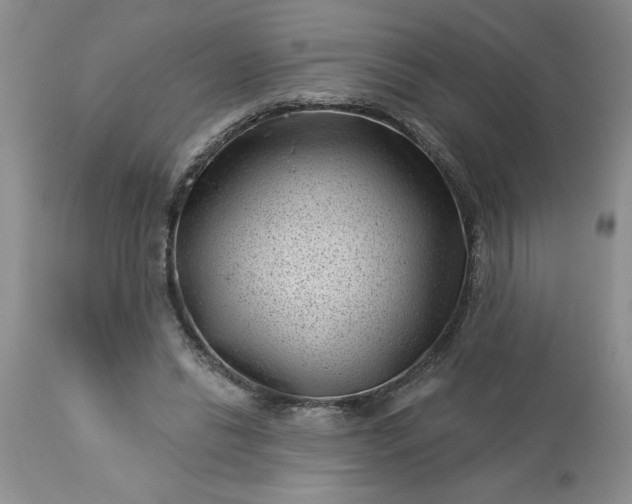 X0000113610446200910021808