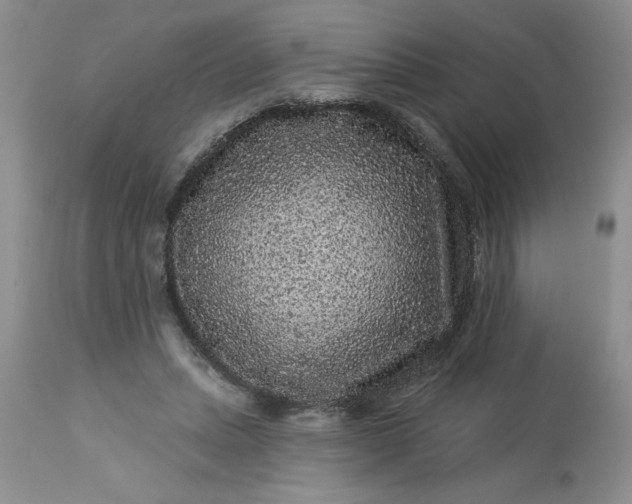 X0000113610447200910021808