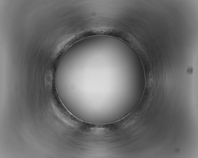 X0000113610448200910021808