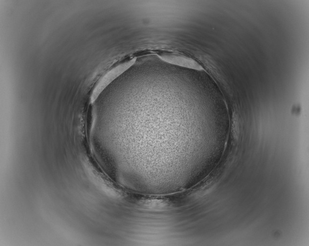 X0000113610449200910021808