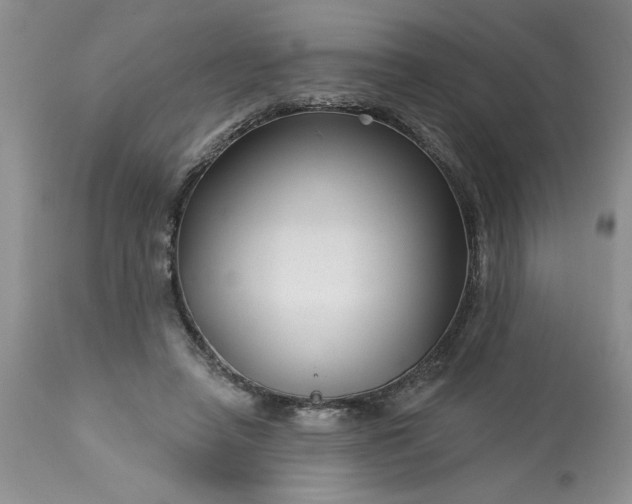 X0000113610450200910021808