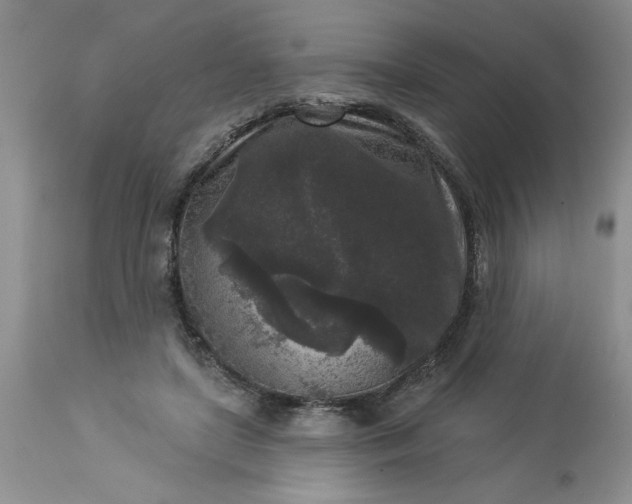 X0000113610451200910021808