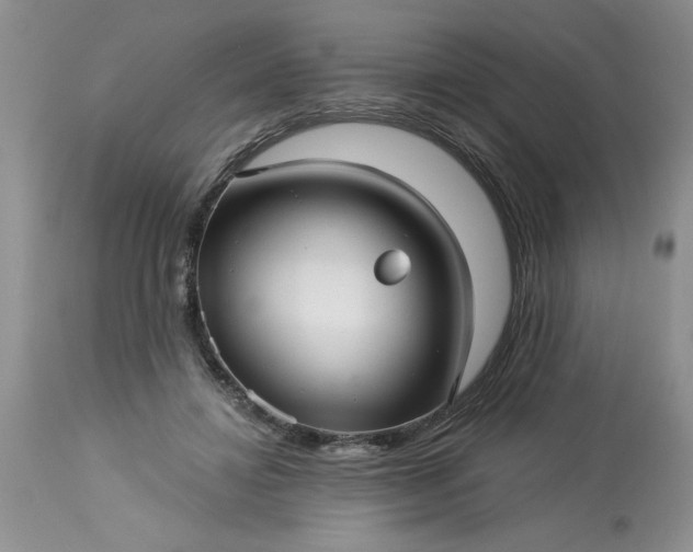 X0000113610452200910021808