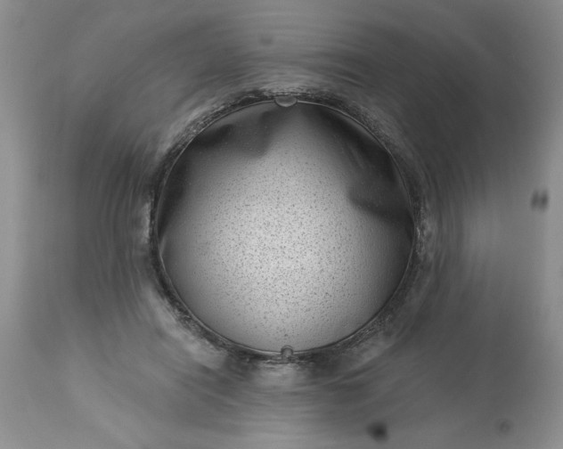 X0000113610454200910021808