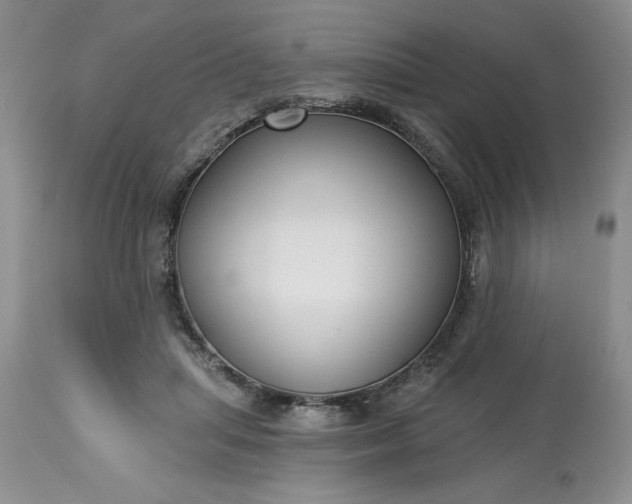 X0000113610455200910021808