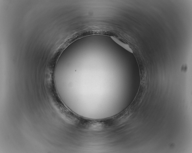 X0000113610456200910021808