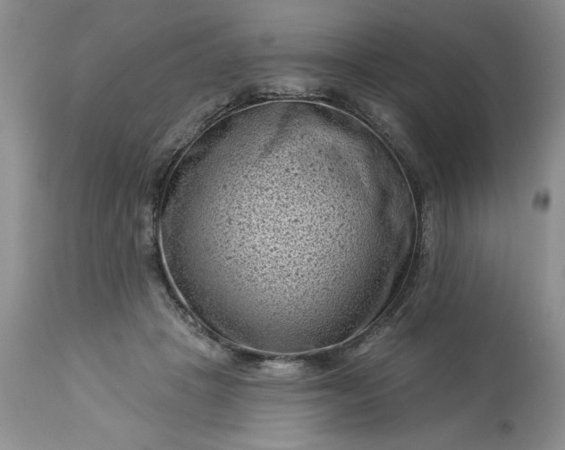 X0000113610457200910021808