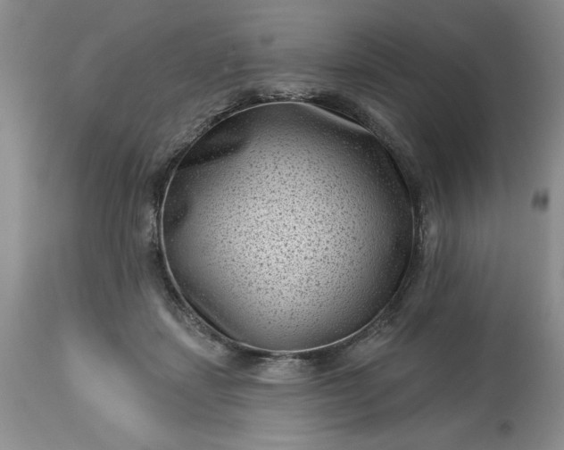 X0000113610459200910021808