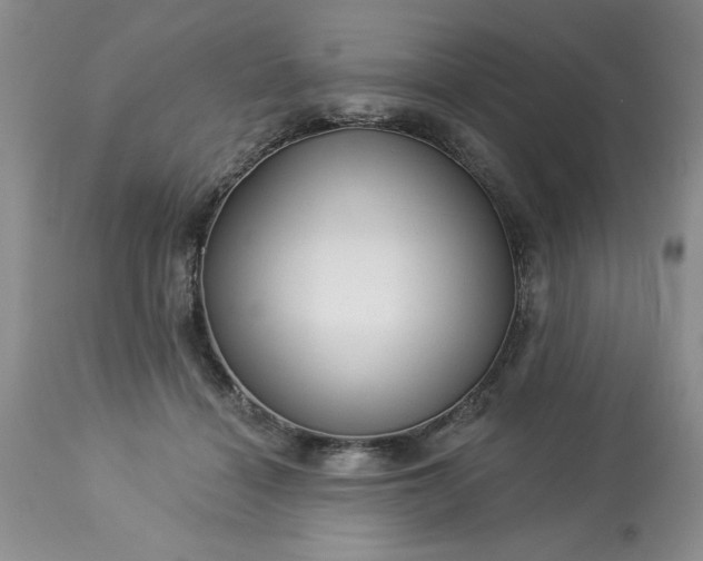 X0000113610460200910021808