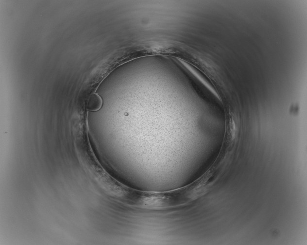 X0000113610461200910021808