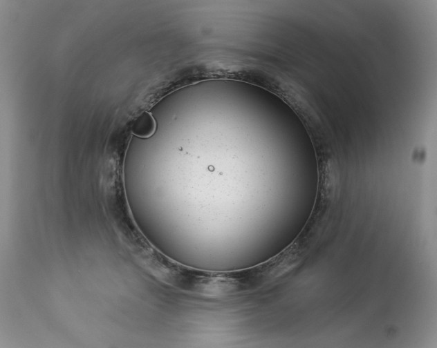 X0000113610463200910021808