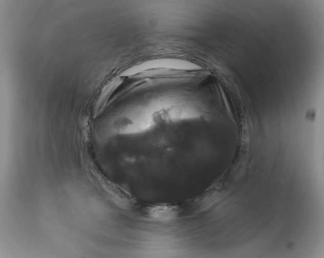 X0000113610465200910021808