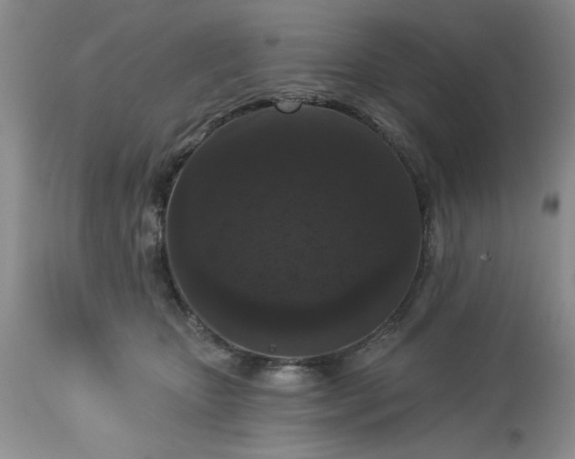 X0000113610467200910021808