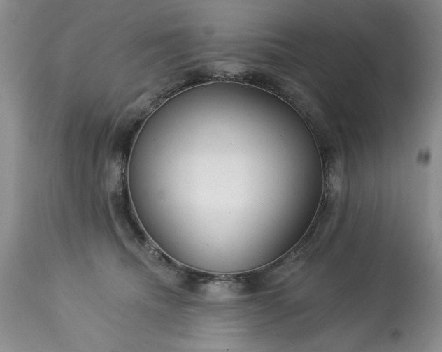 X0000113610468200910021808