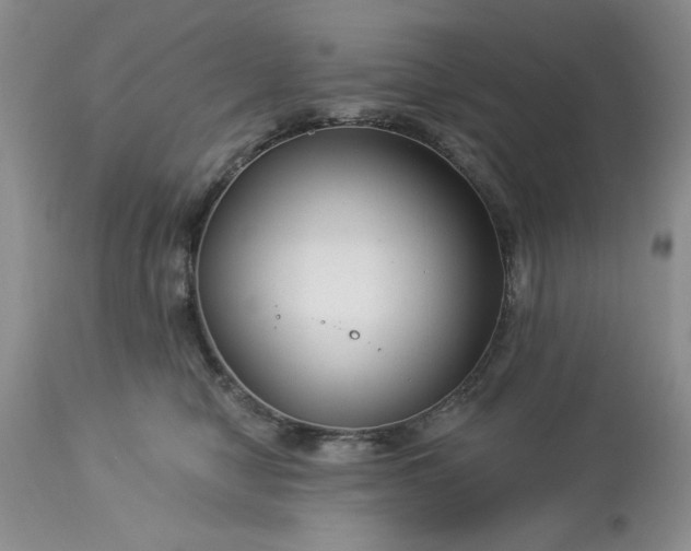 X0000113610470200910021808