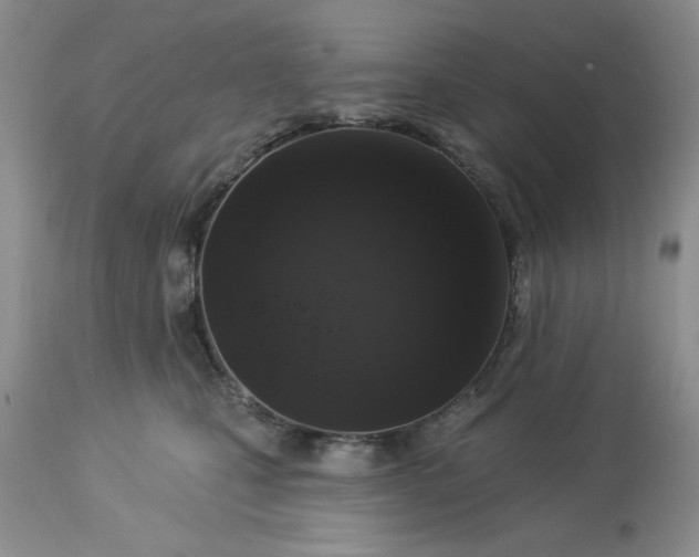 X0000113610471200910021808