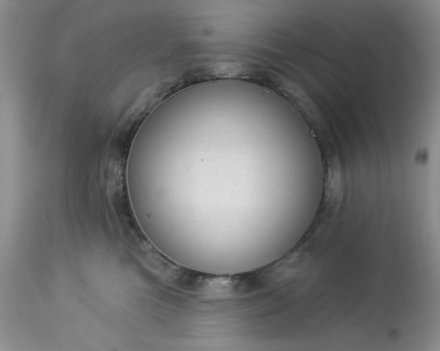 X0000113610473200910021808