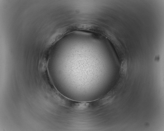 X0000113610474200910021808