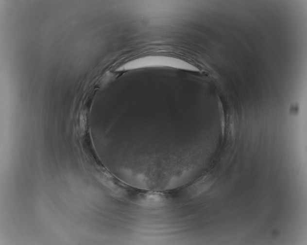 X0000113610475200910021808