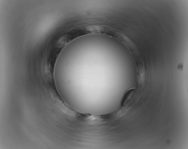 X0000113610477200910021808