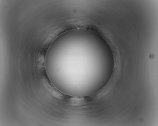 X0000113610480200910021808