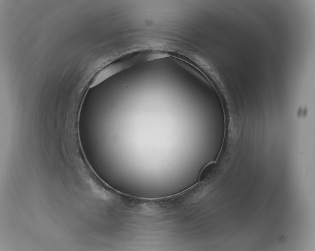 X0000113610481200910021807